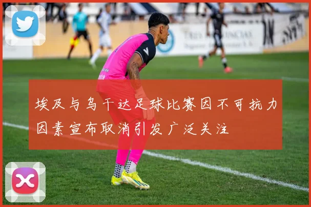 埃及与乌干达足球比赛因不可抗力因素宣布取消引发广泛关注