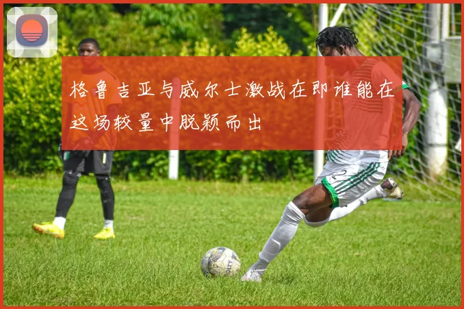 格鲁吉亚与威尔士激战在即谁能在这场较量中脱颖而出