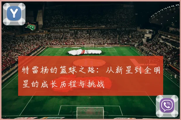 特雷杨的篮球之路：从新星到全明星的成长历程与挑战