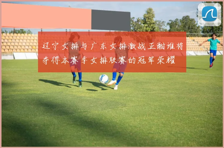 辽宁女排与广东女排激战正酣谁将夺得本赛季女排联赛的冠军荣耀