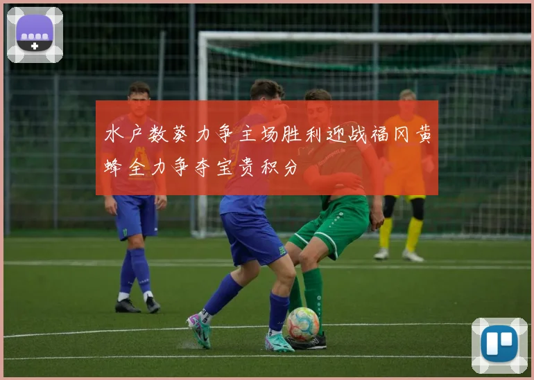 水户数葵力争主场胜利迎战福冈黄蜂全力争夺宝贵积分