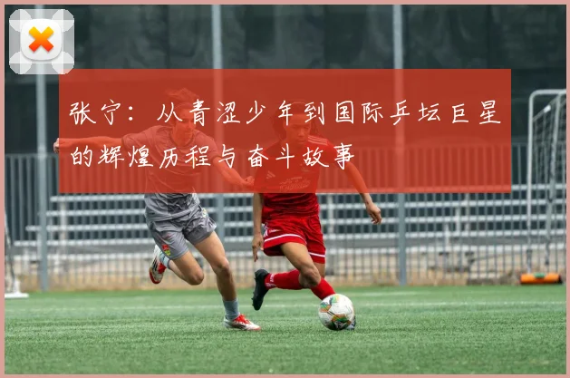 张宁：从青涩少年到国际乒坛巨星的辉煌历程与奋斗故事