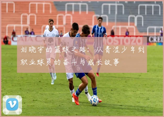 刘晓宇的篮球之路：从青涩少年到职业球员的奋斗与成长故事